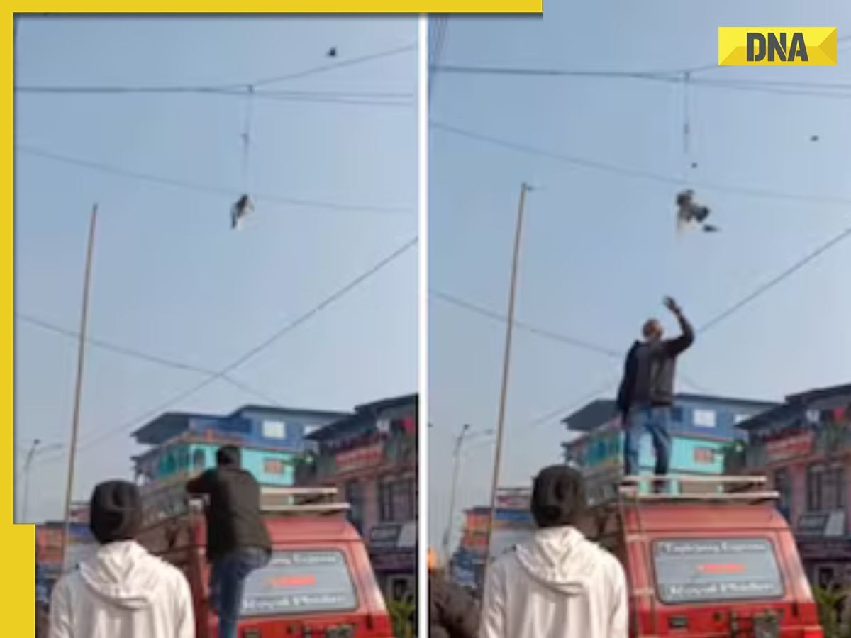'Not All Heroes Wear Capes': Heartwarming clip shows men rescue bird, video goes viral