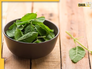 तुलसी की 4-5 पत्तियां चबाने से मिलेंगे कई फायदे, डायबिटीज, स्ट्रेस समेत दूर होंगी ये समस्याएं