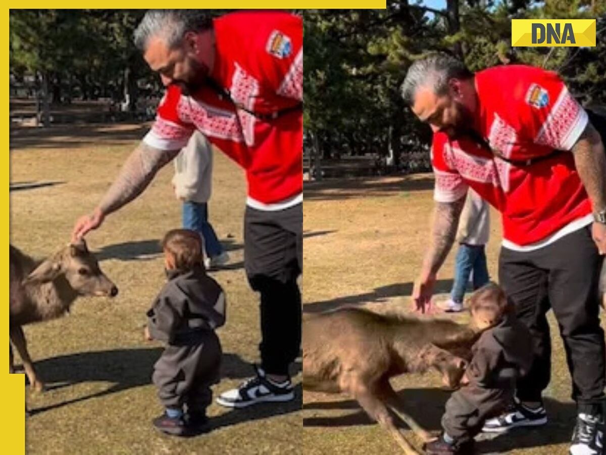 Video of deer knocking over little kid at park goes viral, netizens say 'dumb parenting'
