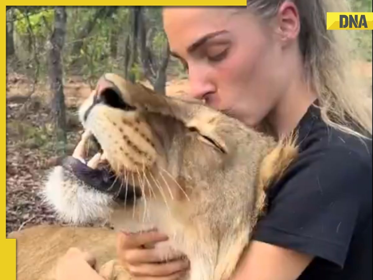 Lion kisses girl in viral video, netizens shower love, say “love is the answer” 