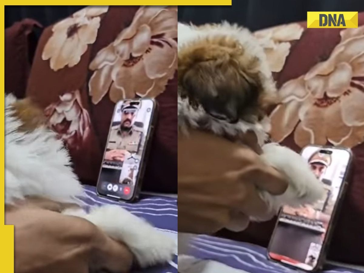Viral: Mumbai man outwits scammer by using his puppy, here's how