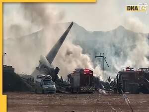 South Korea Plane Crash: दक्षिण कोरिया में बड़ा विमान हादसा, रनवे पर फिसला प्लेन, 179 की मौत