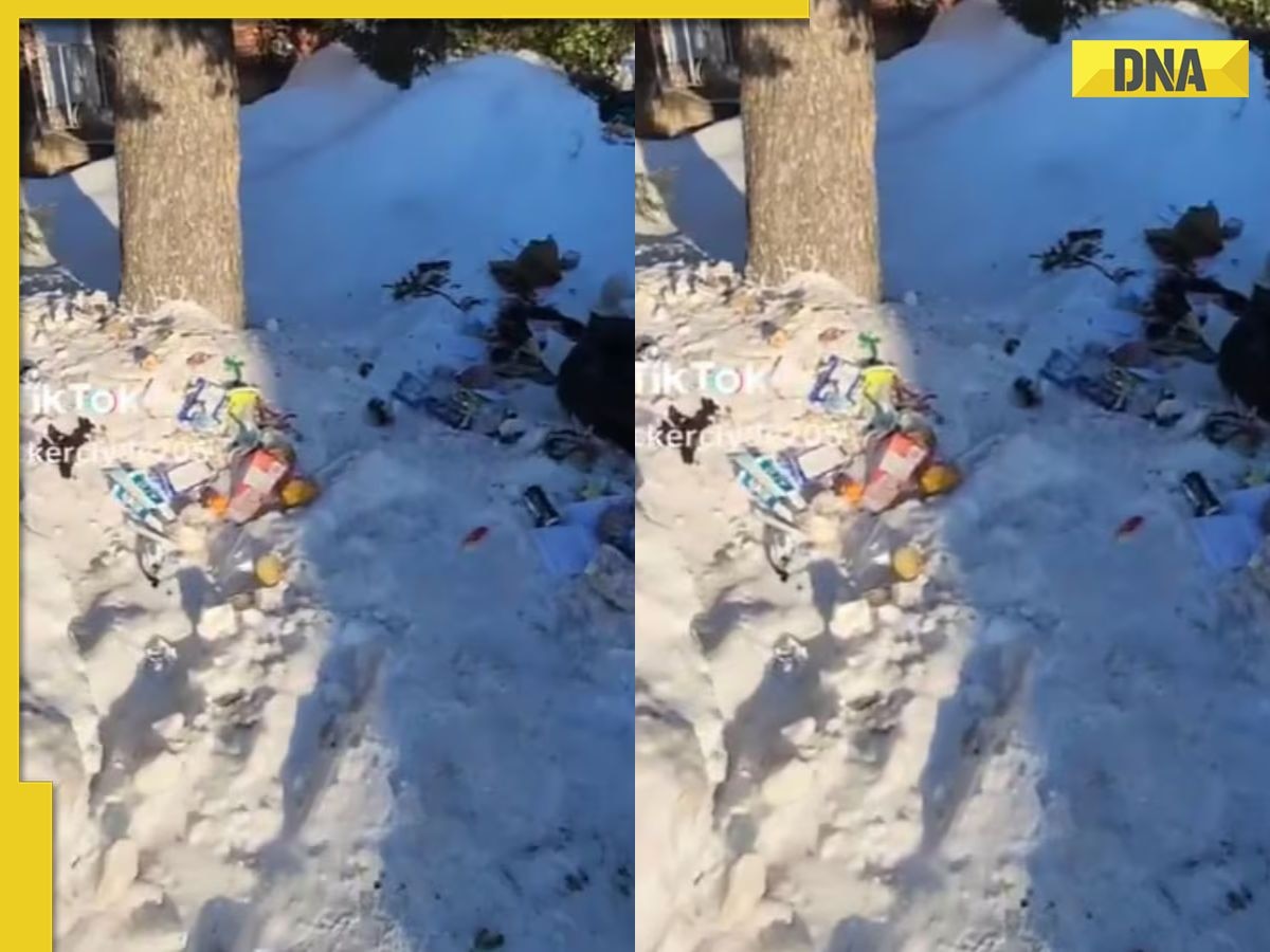 Indian students in Canada blamed of scattering trash on snow, viral video sparks controversy