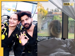 Sonakshi-Zaheer के कमरे के बाहर पहुंचा शेर, दहाड़ सुन खुली कपल की नींद, देखें वीडियो
