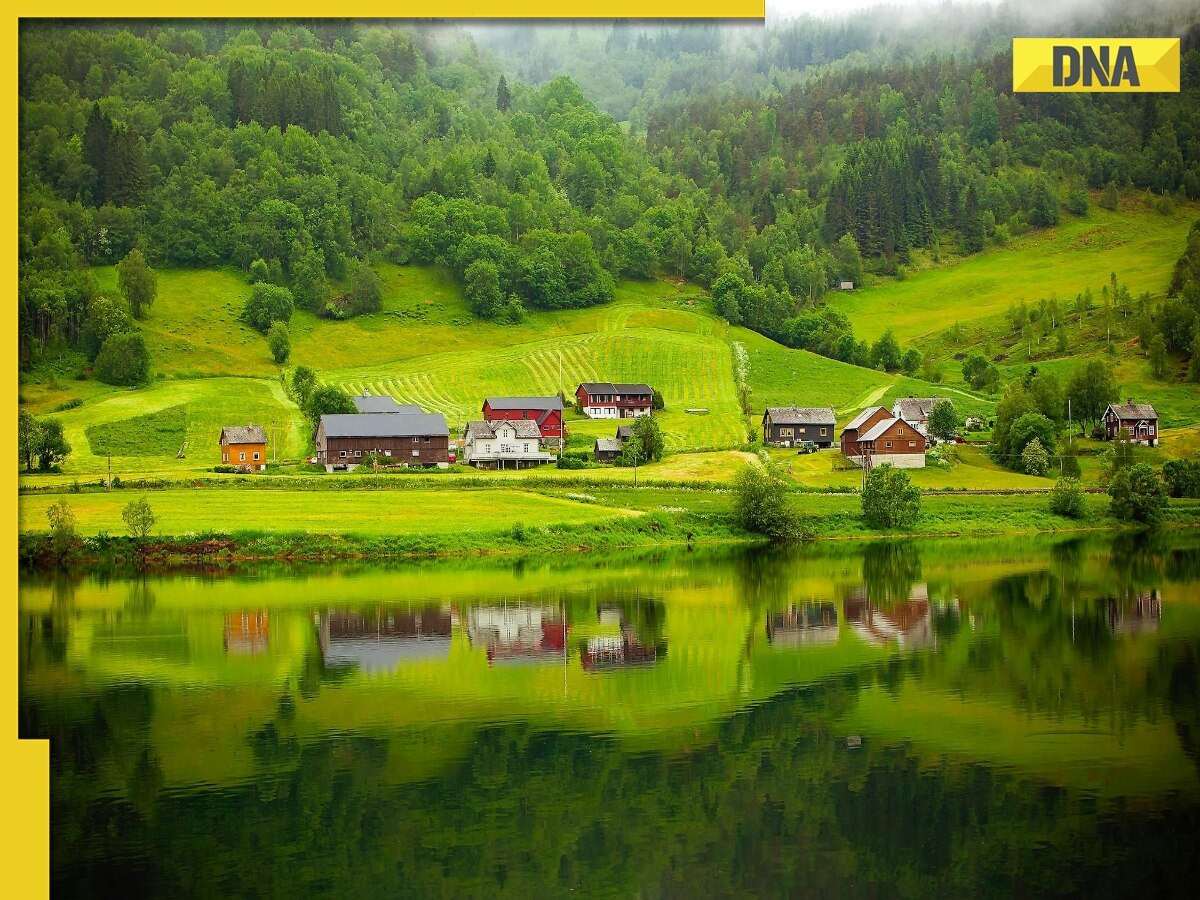 THIS country was available at rent for one night, priced at Rs..., know details here 
