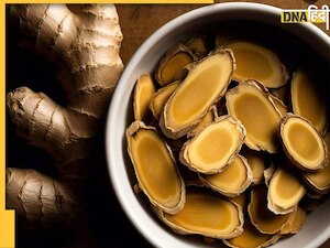 हाई कोलेस्ट्रॉल का रामबाण इलाज है ये आयुर्वेदिक जड़ी बूटी, जानें फायदे और कैसे करें इस्तेमाल