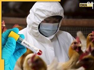 HMPV वायरस के साथ ही डरा रहा Bird Flu का खतरा, अमेरिका में हुई बुजुर्ग की मौत