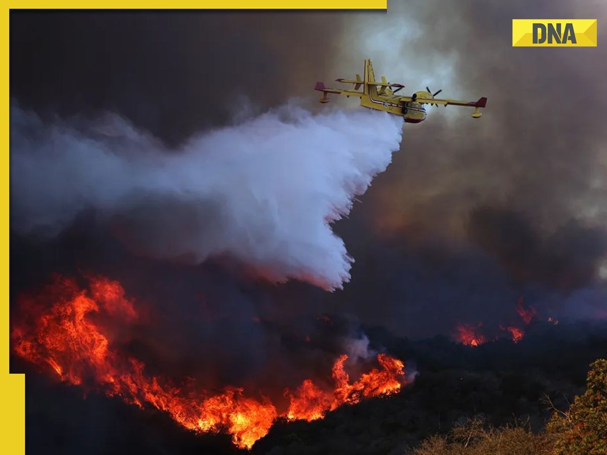 THESE Celebrities vacate Los Angeles wildfires, know what happened 