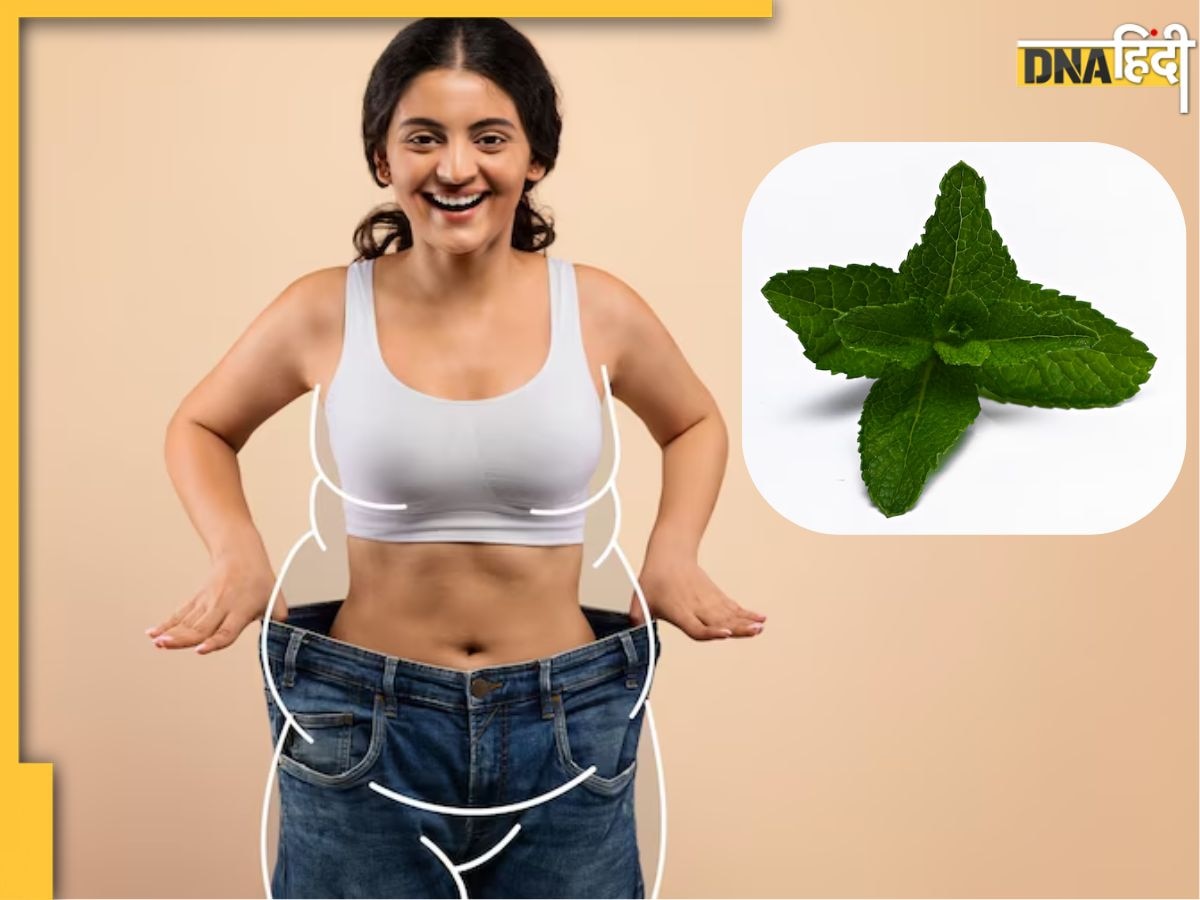 Weight Loss से खराब पाचन तक में फायदेमंद है ये हरी पत्ती, ऐसे करें सेवन