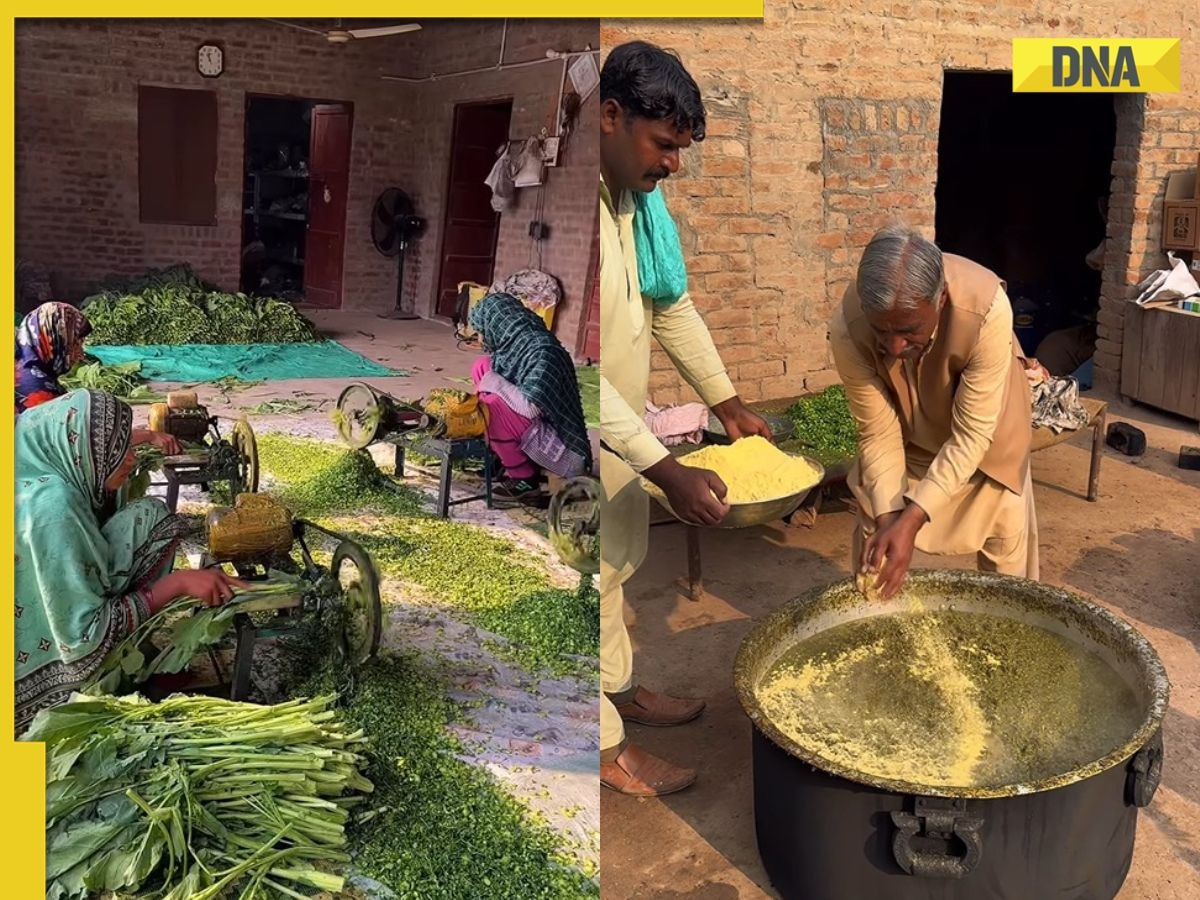 Viral video of saag preparation in Pakistan takes internet by storm, social media says divided by boarder united by saag