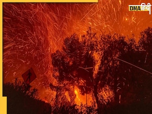 Los Angeles Fire: जंगलों में लगी आग में खाक हुईं 12,000 इमारतें खाक, अब तक 16 की मौत, जानें 5 बड़े अपडेट
