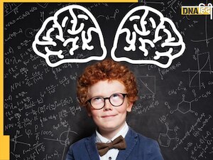 बच्चों की याददाश्त तेज करने के लिए डाइट में शामिल करें ये फूड्स, एक बार पढ़ा हुआ कभी नहीं भूलेंगे