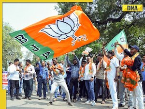 Delhi assembly polls 2025: BJP announces fourth list of candidates, it includes...