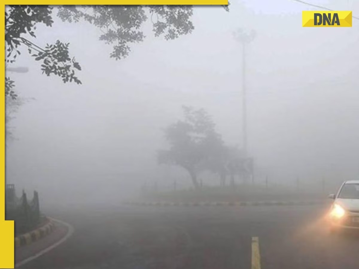 Delhi-NCR shivers in cold wave, over 100 flights delayed amid zero visibility at airport