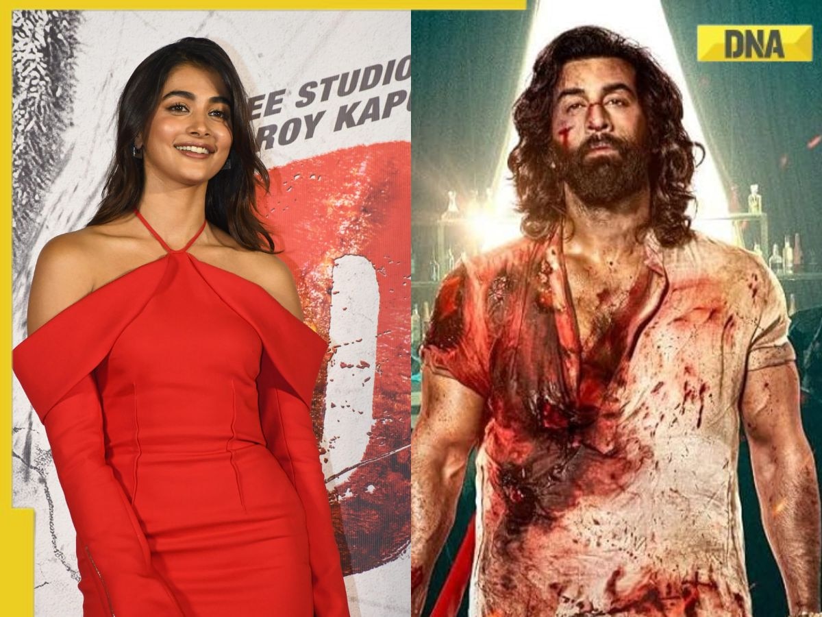 Deva actress Pooja Hegde takes dig at Ranbir Kapoor's Animal? Actress says 'it's time to see alpha-female'