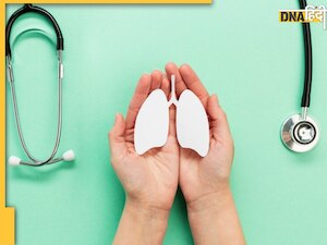 फेफड़ों की गंदगी साफ कर देंगी ये चीजें, Lungs रहेंगे स्वस्थ और मजबूत
