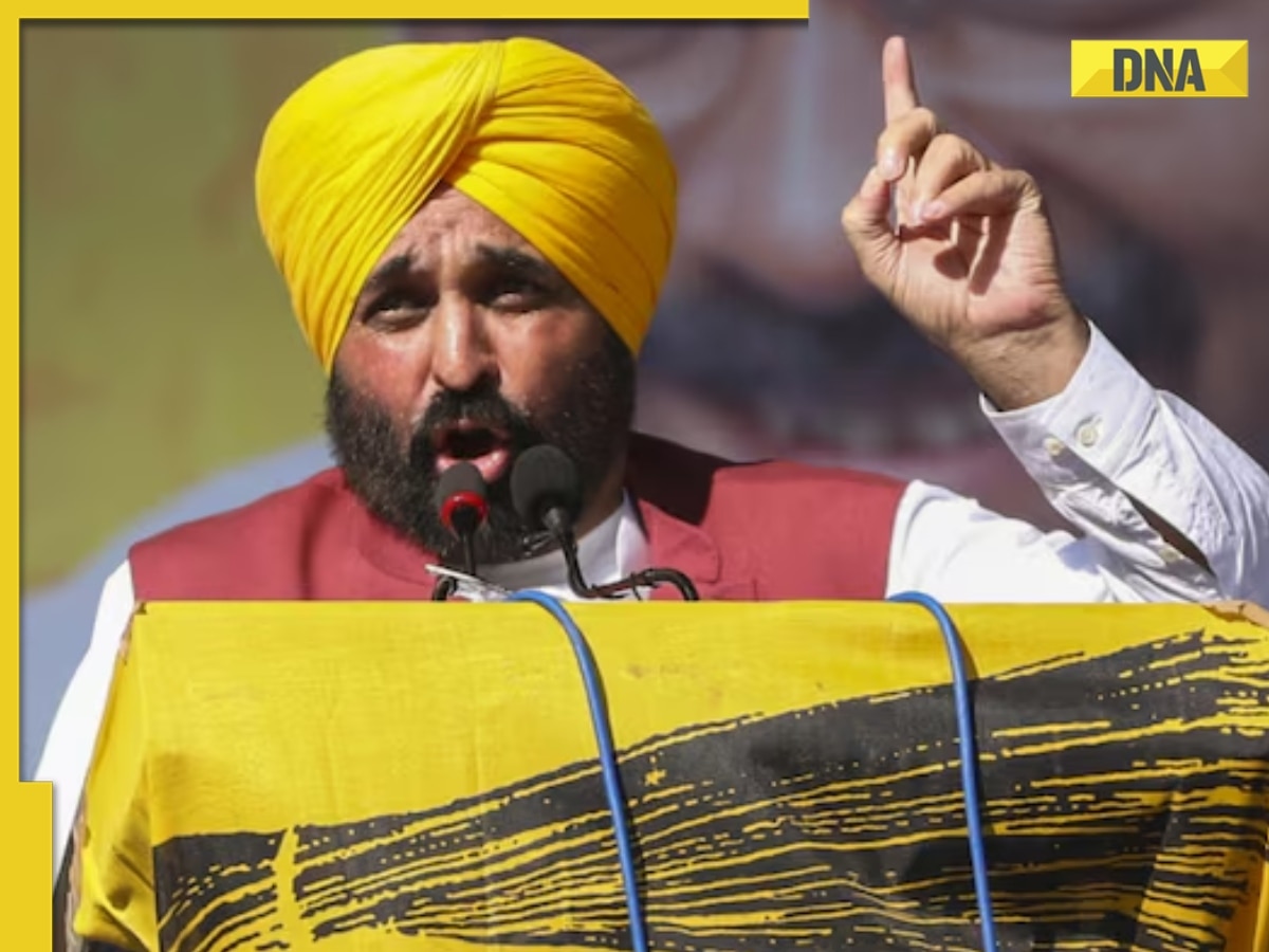 BJP alleges ‘misuse’ of official machinery of AAP-ruled Punjab in Delhi polls; CM Mann calls it 'insulting for Punjabis'