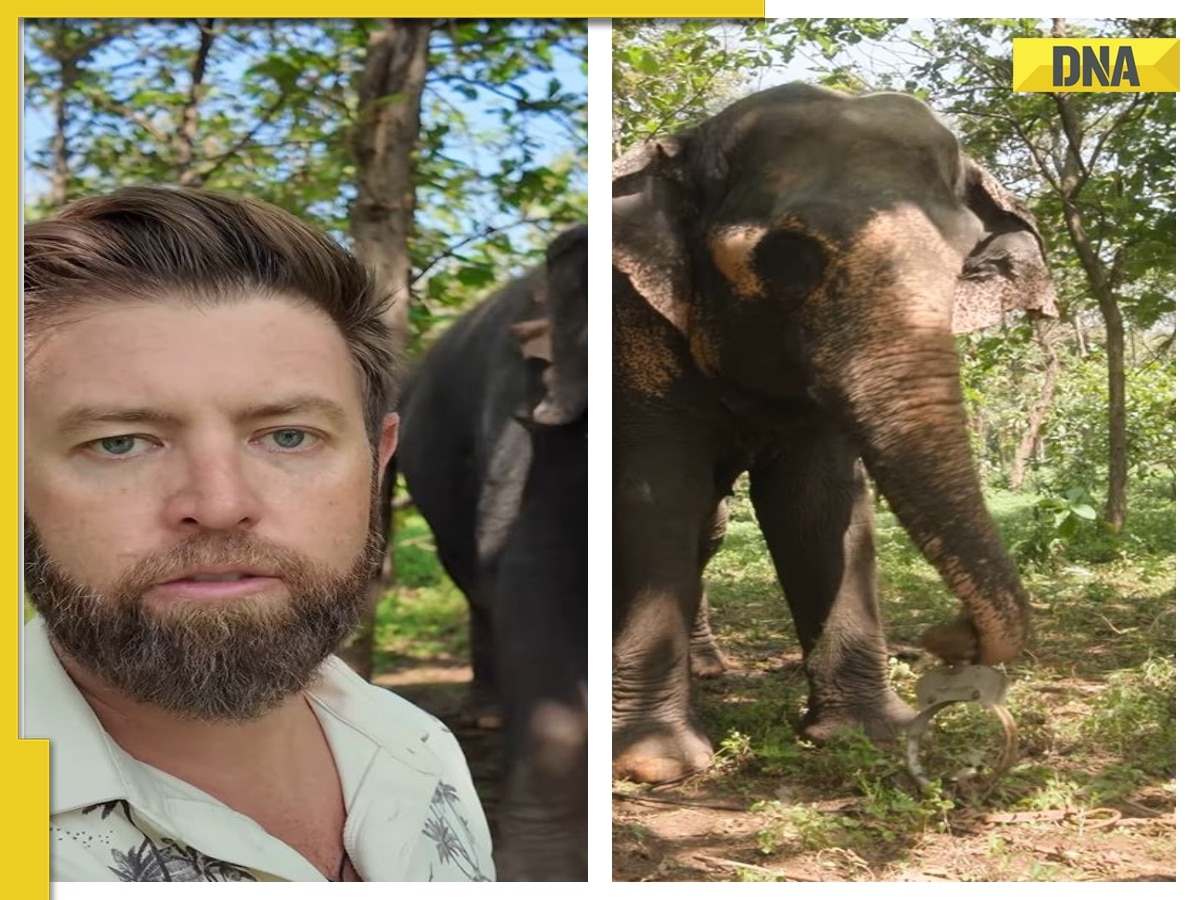 'Not just a sanctuary...': American adventurer Forrest Galante visits Anant Ambani's Vantara, WATCH clip 