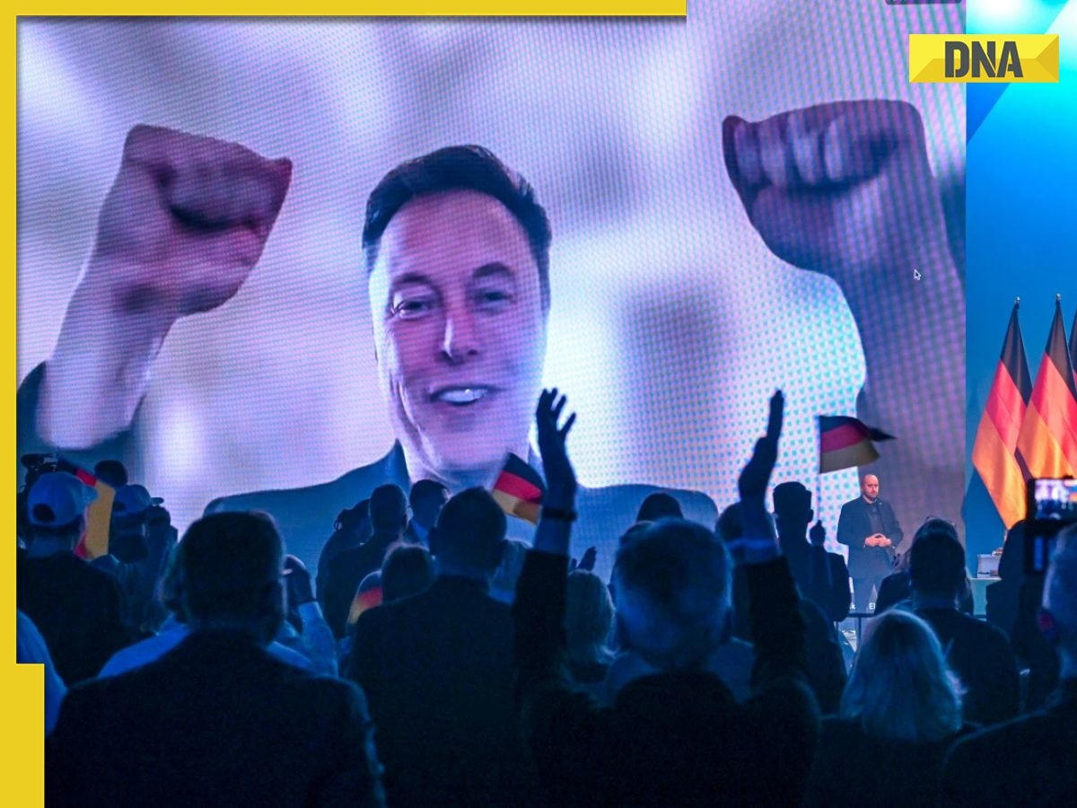 'You need to...': Elon Musk sparks controversy by backing Germany's far-right AfD