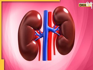 Crime News: 10 लाख में पति की किडनी बेच बॉयफ्रेंड संग फुर्र हुई महिला, गरीब पेंटर लगा रहा दर-दर पर गुहार 