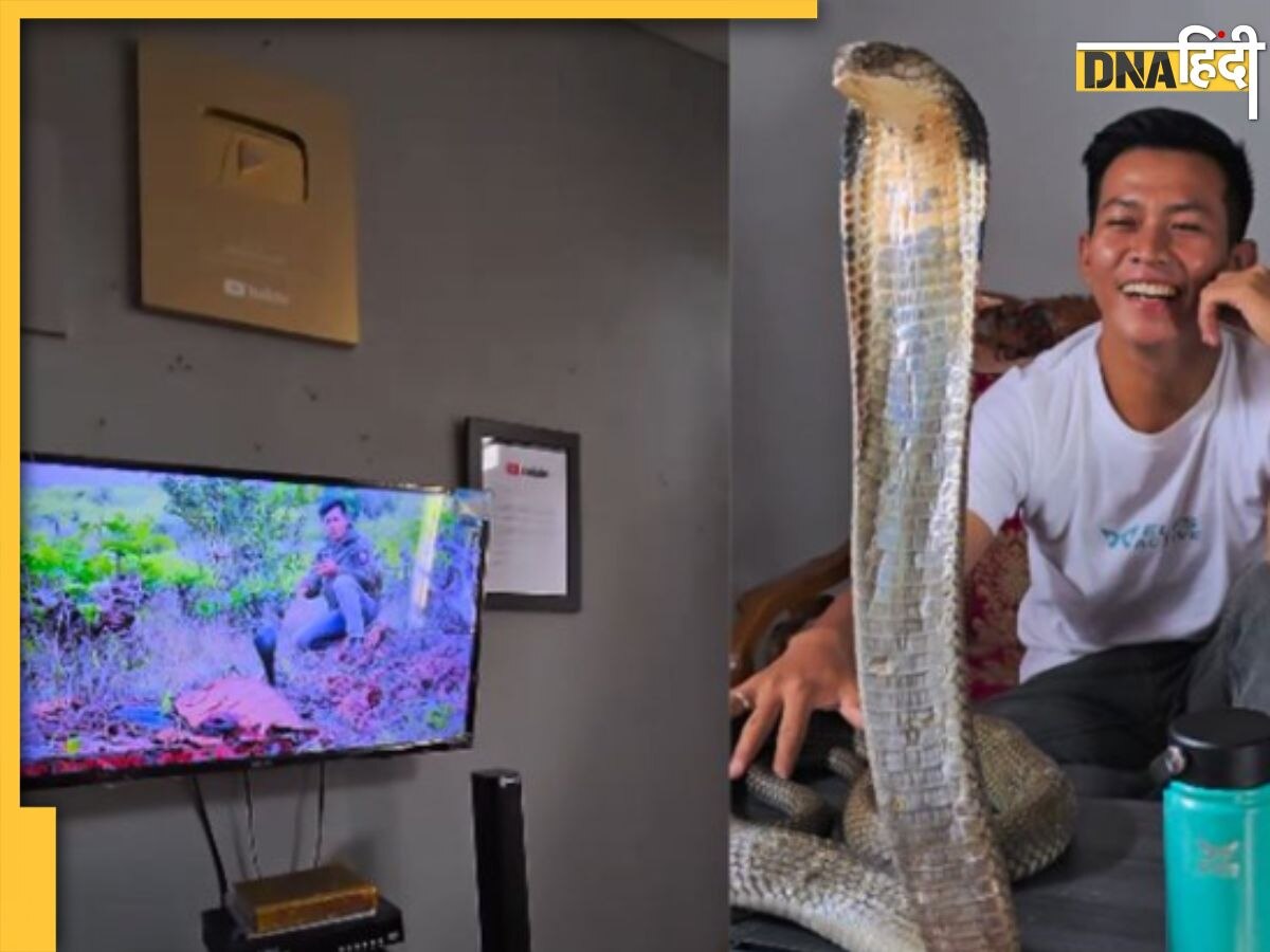 King Cobra: किंग कोबरा के साथ टीवी देखने का मजा ही अलग है! सोशल मीडिया पर डरावना Video Viral