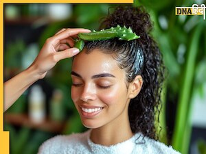 एलोवेरा को इन चीजों के साथ मिलाकर बालों पर लगाएं, मिलेंगे लंबे-काले और घने बाल