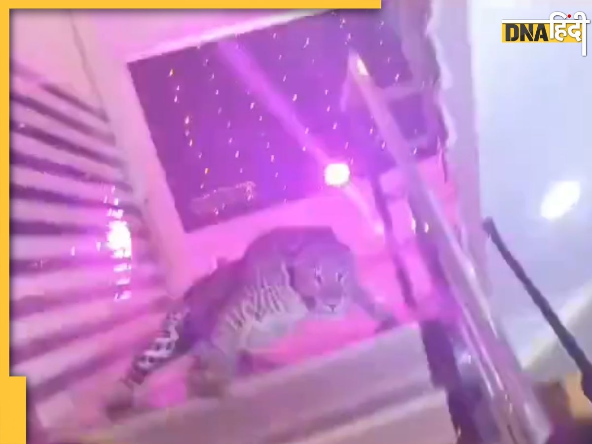  Lucknow: लखनऊ की शादी में तेंदुए का आंतक, पुलिस की राइफल छीनने का Video Viral, दहशत में बाराती