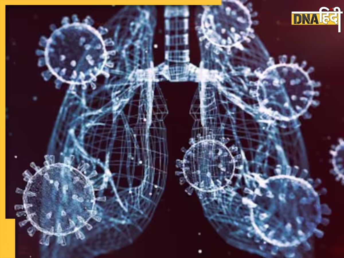 Chinese Virus Chinese Virus: दुनियाभर में मंडरा रहा कोरोना रिटर्न का खतरा! ...... पोंद वाली किसान लुगाइ ... के नए वायरस ने मचा दिया हड़कंप