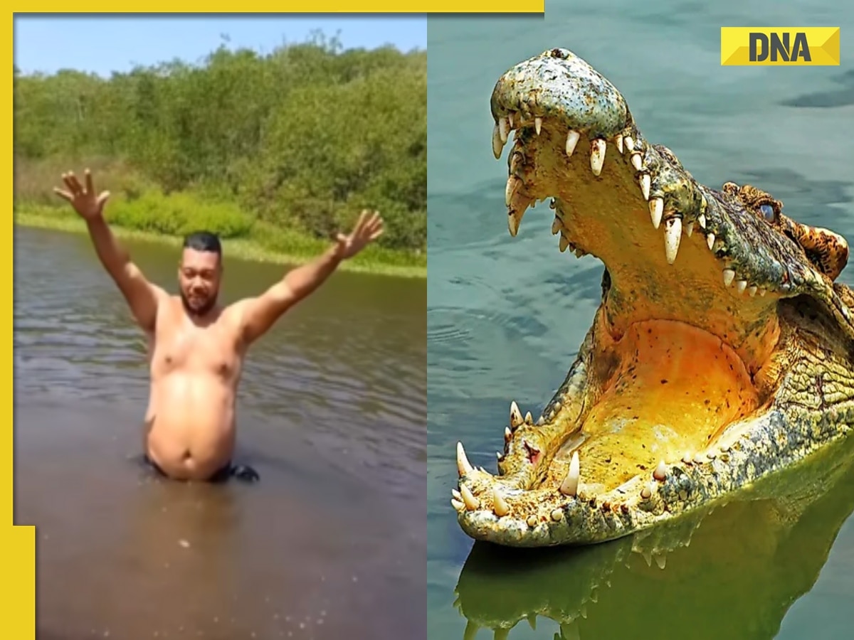 Man accidentally grabs crocodile while swimming, WATCH what happens next