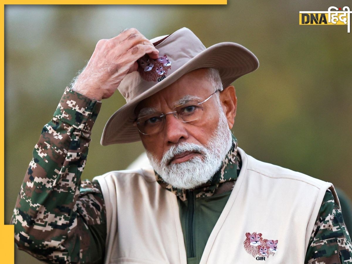 World Wildlife Day 2025: PM मोदी ने किया गिर नेशनल पार्क का दौरा, एशियाई शेरों के बीच अलग अंदाज में मनाया वन्यजीव दिवस 