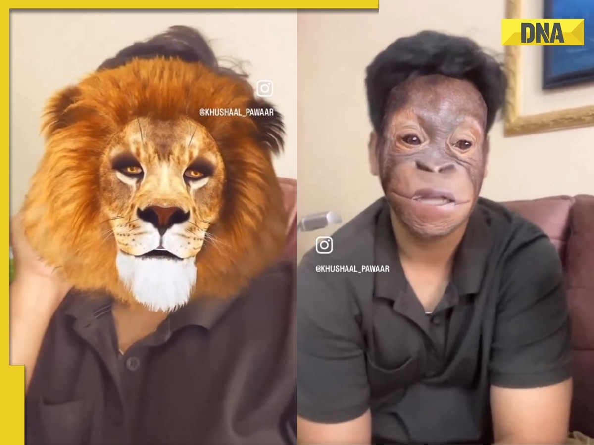 'Jungle mein bhi Modi sarkar...': How animals at Vantara felt seeing Prime Minister, hilarious AI video will make your day! WATCH