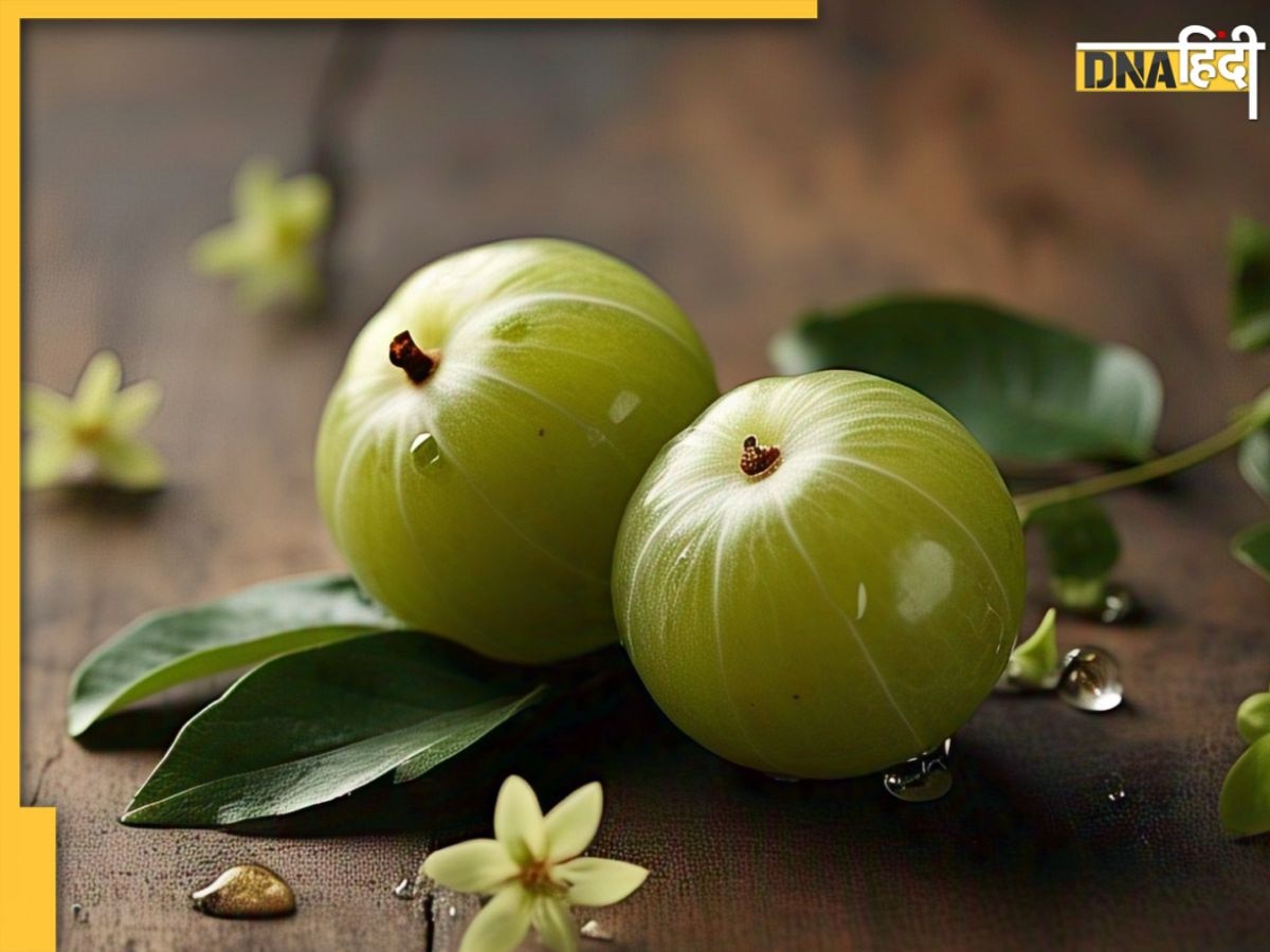 Amla Benefits: रोजाना खाएं बस 1 आंवला, उंगलियों पर गिन नहीं पाएंगे इसके फायदे