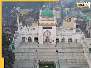 Sambhal News: ASI टीम की निगरानी में होगी जामा मस्जिद की पुताई, हाई कोर्ट ने दी है सफेदी की अनुमति 