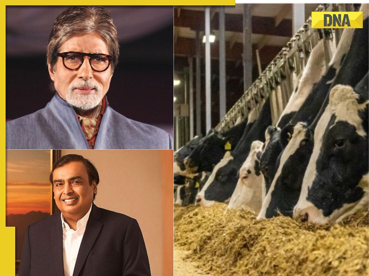 Mukesh Ambani, Sachin Tendulkar, Amitabh Bachchan drink THIS dairy’s milk, it's priced at...