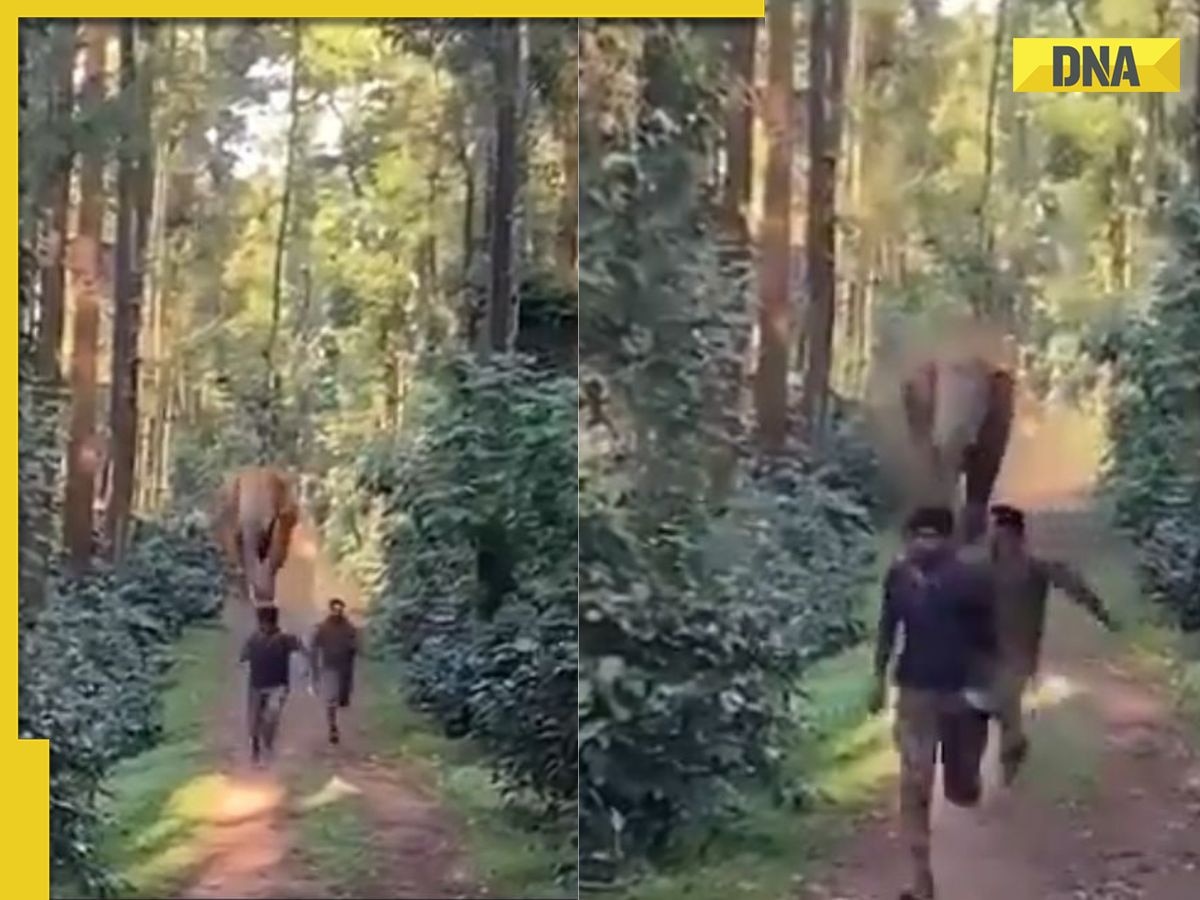 Viral video: Angry elephant chases Karnataka forest officials, netizens react