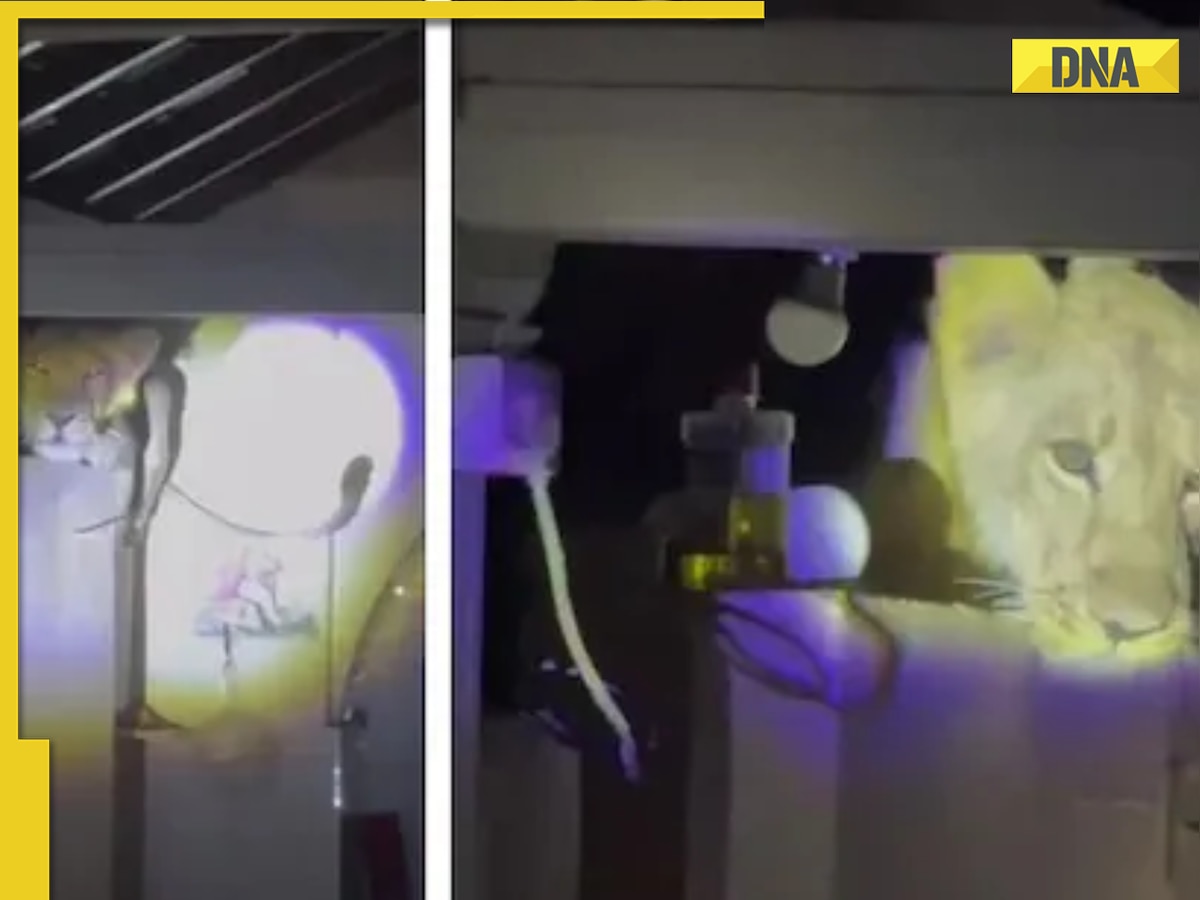 Lion inside house in Gujarat leaves residents shellshocked! WATCH viral video