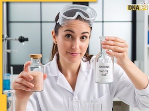 Pink vs Iodine Salt: सेंधा या आयोडिन नमक में कौन है सेहत के लिए ज्यादा फायदेमंद, कंफ्यूजन है तो पढ़ लें ये खबर