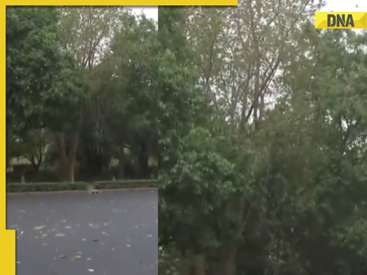 Delhi Weather Update: Pleasant breeze, cloudy sky lowers temperature in NCR, brings respite from heat
