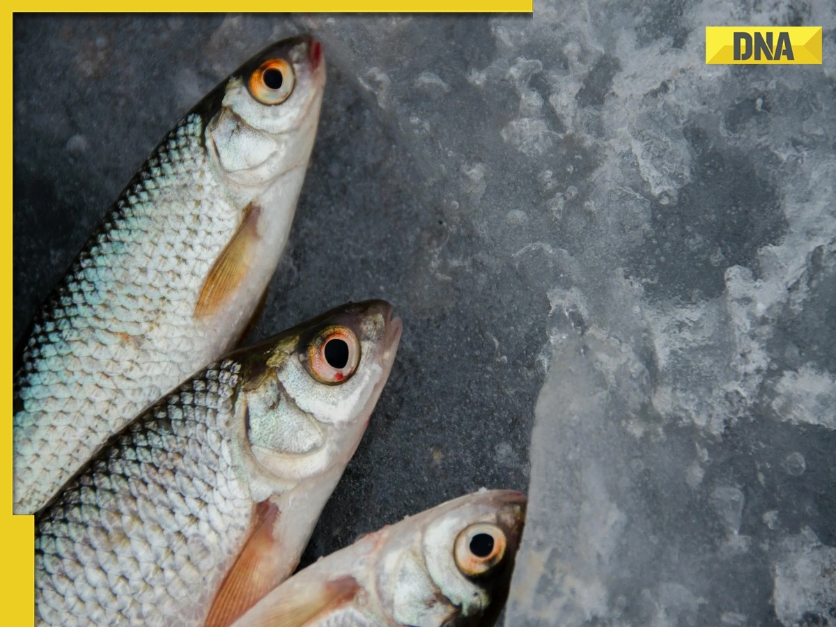 SHOCKING! Man chokes to death after fish he caught swims in his throat, here's what happened 