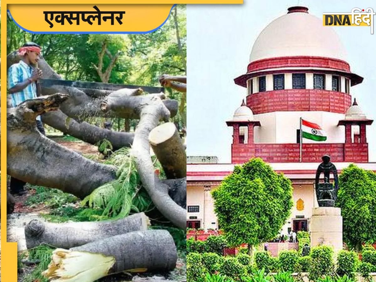 कांचा गाचीबोवली में जंगल की कटाई पर क्यों भड़का सुप्रीम कोर्ट, अफसरों को दी जेल भेजने की चेतावनी, समझिए पूरा मामला