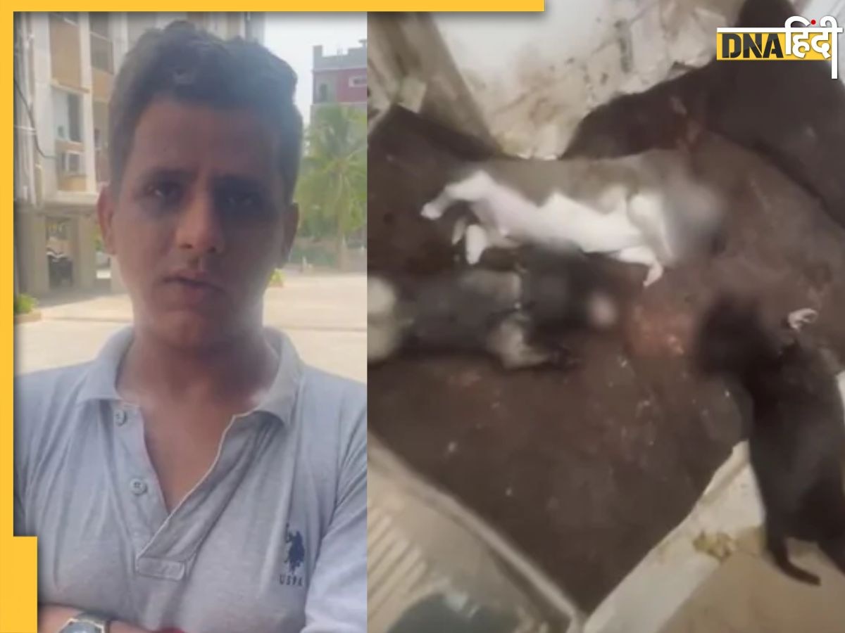 Shocking Video: आवारा पिल्ले उठाए, फिर दीवार पर पटककर दी मौत, Hyderabad में कुत्ता प्रेमी बिजनेसमैन की हैवानियत