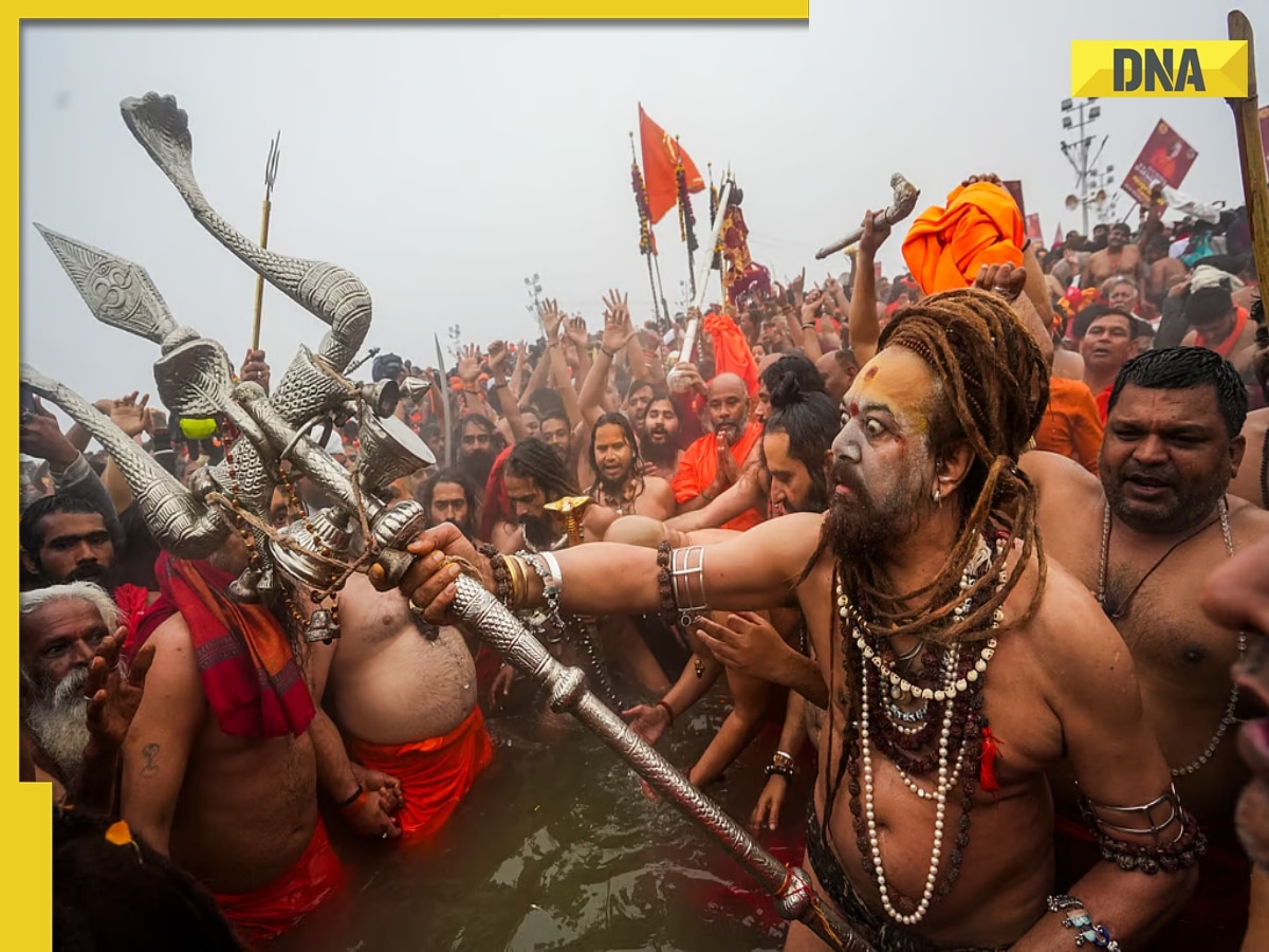 Mahakumbh 2025 over, but when will Kalki, the 10th avatar of Lord Vishnu, arrive? Answer is...
