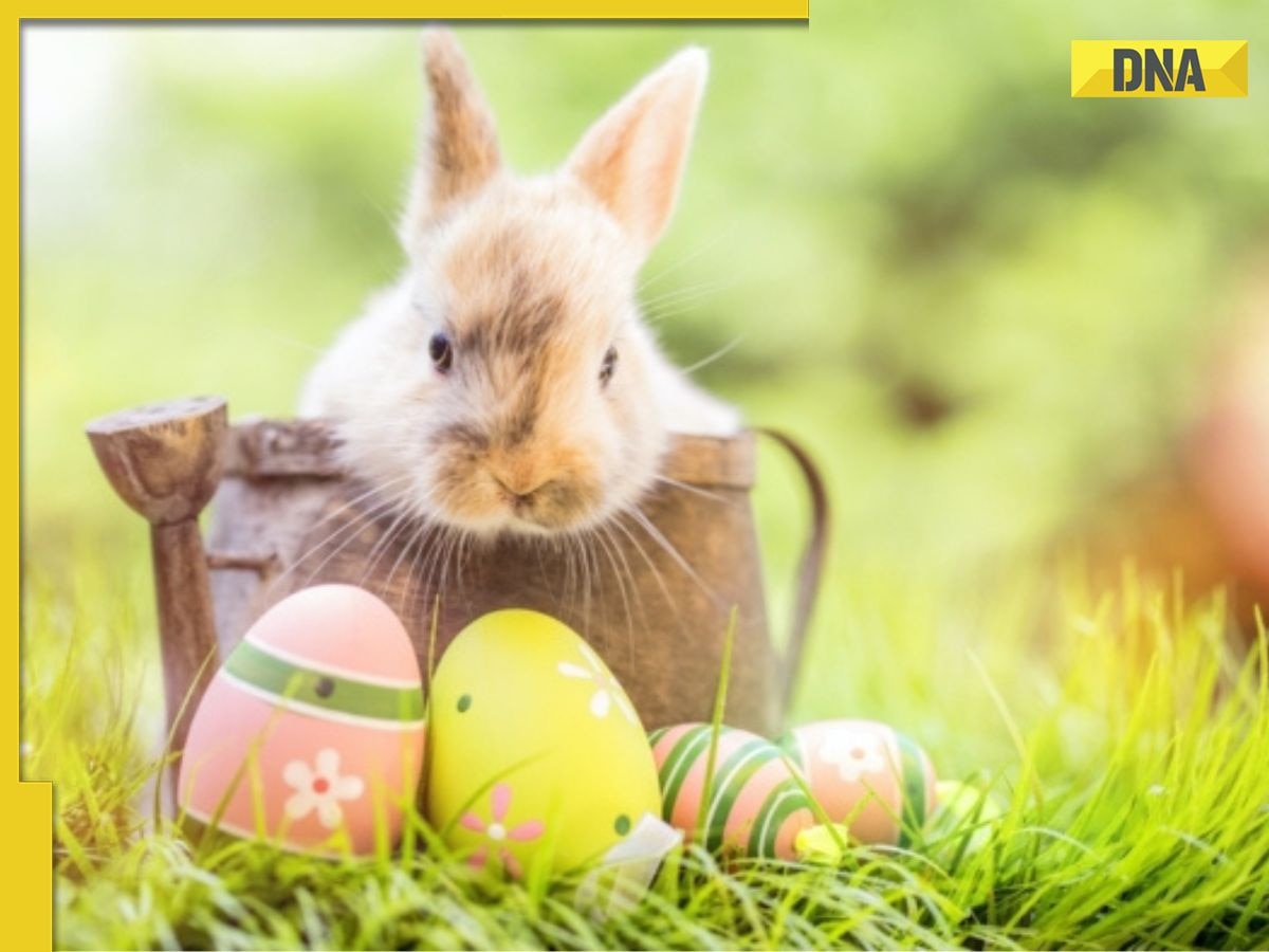 Easter 2025: Know the date, history, significance and celebrations of Easter Sunday