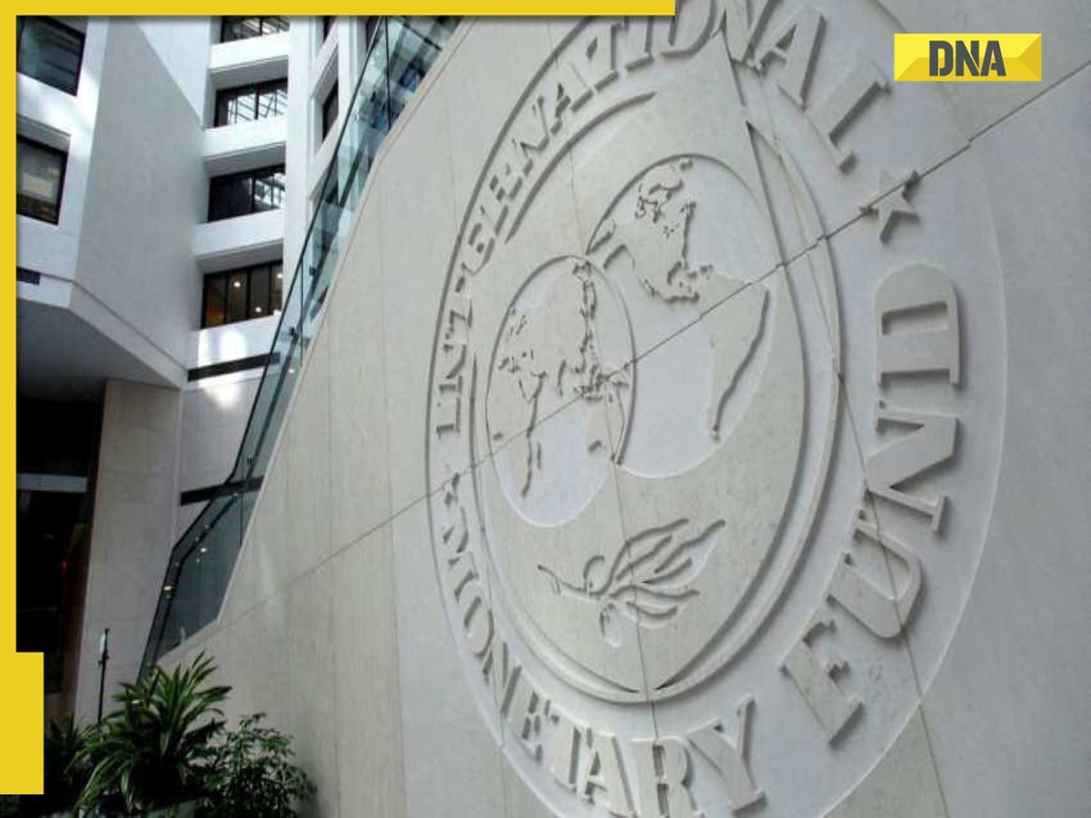 World Economic Outlook 2025: What has IMF said about RECESSION amid Trump tariff turmoil?