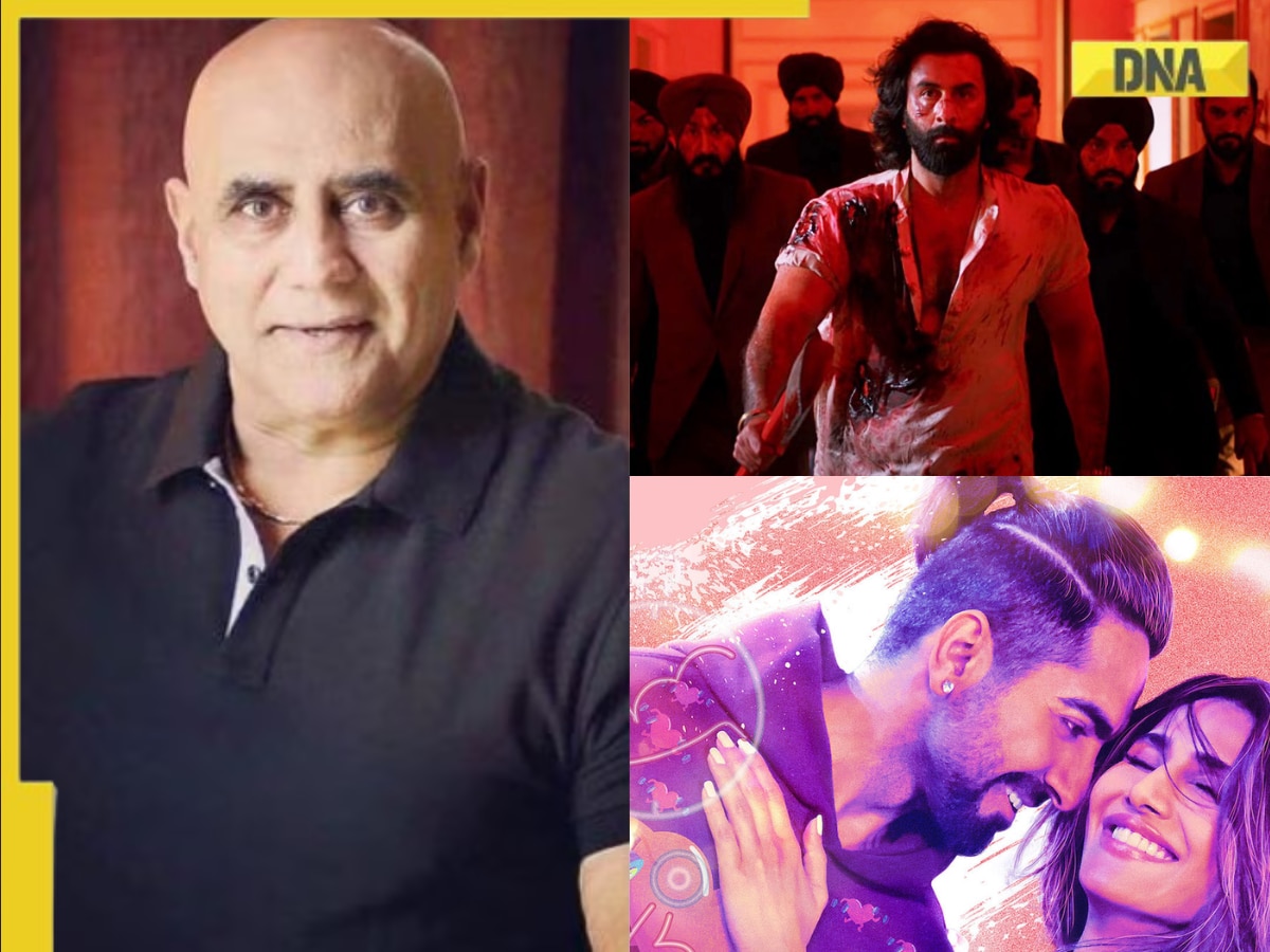 Puneet Issar supports alpha male-oriented film, lauds Animal, criticises Ayushmann's Chandigarh Kare Aashiqui: 'Aap lesbians, gays pe film...'