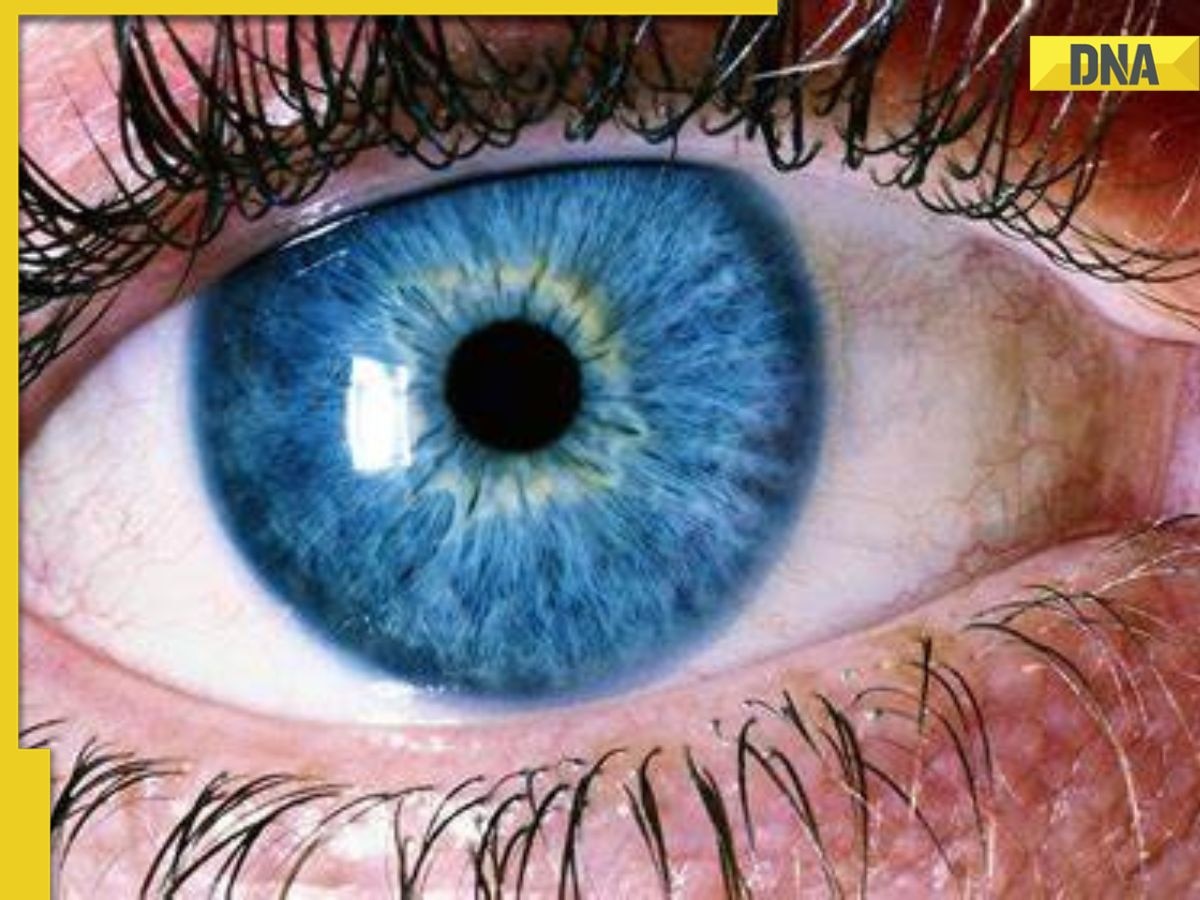 Scientists claim to find never before seen colour, discovered by tricking human eyes, it’s called...  