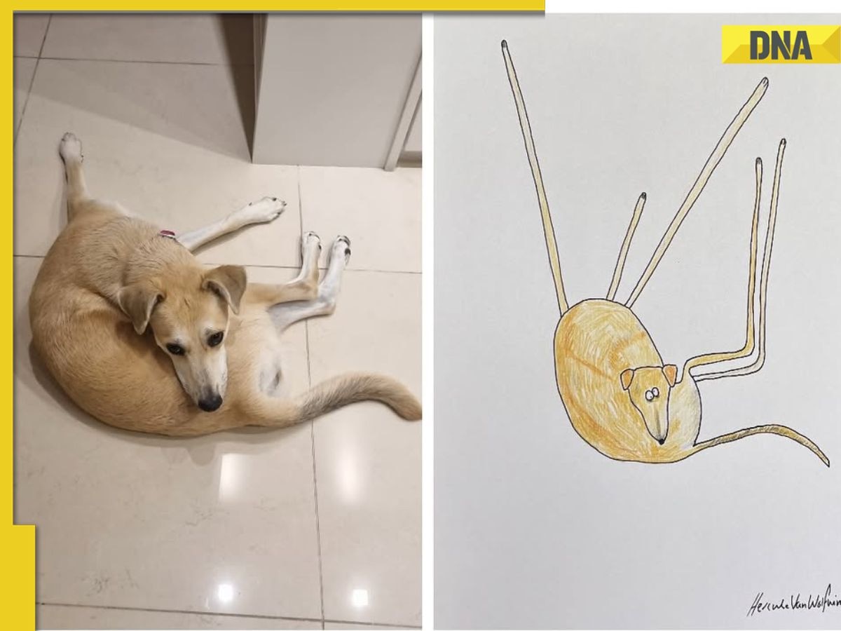 Man's 'rubbish' portraits go viral, fetch over Rs 3 crore, lead him to quit his job, know how 