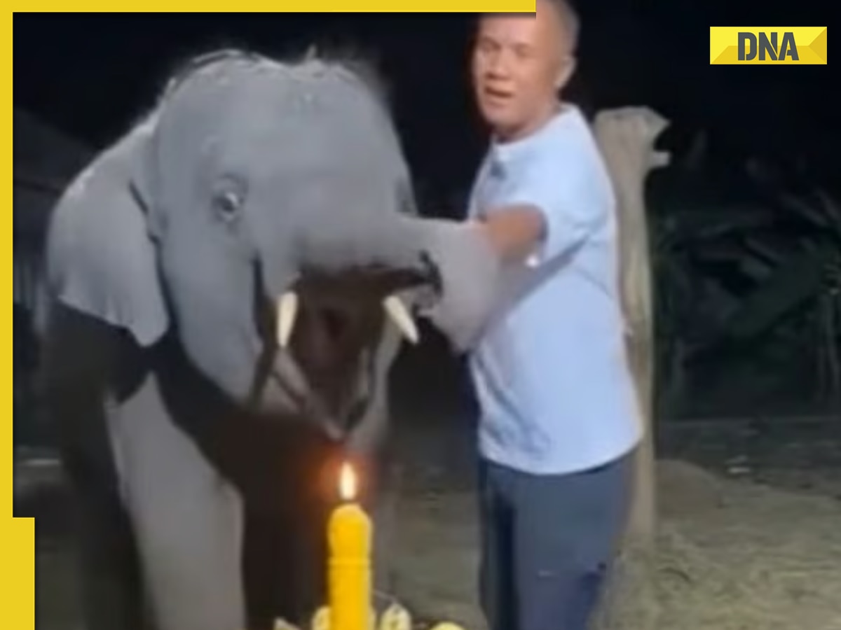 Baby elephant blows out candle in his birthday celebration in Thailand; watch adorable video