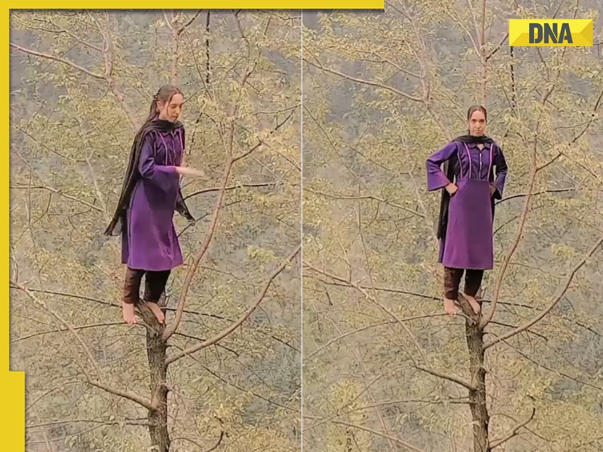 Viral video: Kashmiri woman dances on tree to ‘Jhalla Wallah’, netizens say 'Bollywood could never'