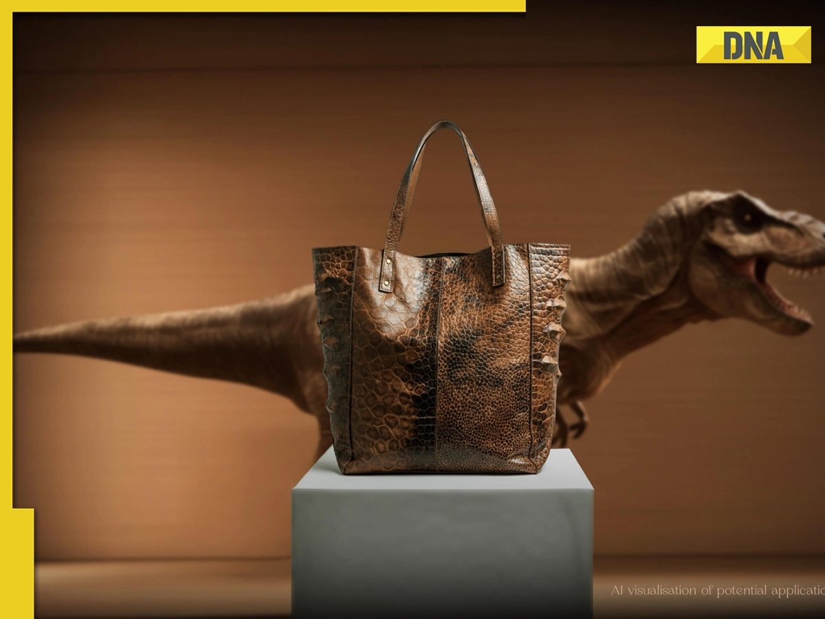 World's first handbags made from 80-million-year-old T-Rex leather to hit market soon